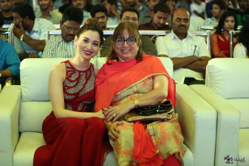 Bengal Tiger Movie Triple Platinum Disc Function